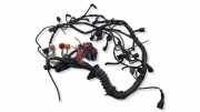 Motor Kabelbaum AUDI A4 Avant (8D5, B5) 1.9 TDI