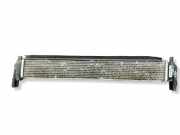 Ladeluftkühler VW POLO (6R, 6C) 1.4 6R0145805H