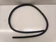 Türgummi links vorne Mercedes-Benz E-Klasse Cabriolet (A207)