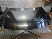 Motorhaube Opel Insignia A (G09)