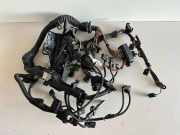 Motor Kabelbaum BMW X3 (E83) xDrive 30 d EH00164244