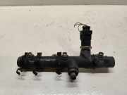 KRAFTSTOFFVERTEILER EINSPRITZLEISTE VERTEILERROHR AUDI A6 (4F2, C6) 3.0 TDI quattro 059130089D
