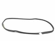 Dichtungsgummi der hinteren Tür (an der Karosserie) MERCEDES-BENZ C (W205) C 220 BlueTEC / d (205.003) A2057400700 A2057400600