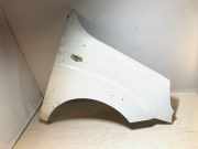 Kotflügel rechts vorne Fiat Doblo Kasten (223)