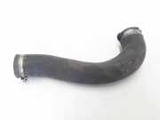 Schlauch für Luftversorgung Renault Master III Kasten (FV) 6670859A
