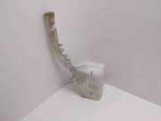 Behälter Scheibenwaschanlage Ford Fusion (JU) 2N1117618AH