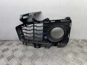 Gitter Grill vorne rechts BMW 4 Coupe (F32, F82) 420 i 8054508