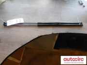 Gasfeder für Motorhaube Kia Soul II (PS) 81161E4000