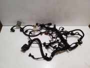 Motor Kabelbaum FIAT 500L (351_, 352_) 1.3 D Multijet 00552408220