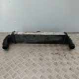 Ladeluftkühler BMW 3er Compact (E36) 2246799