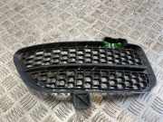 Kühlergrill unten VW Touareg I (7L) 7L6853666B