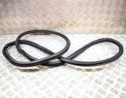 Türdichtungsgummi hinten links VW TIGUAN (AD1) 1.4 TSI 5NA867913B