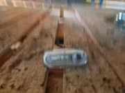 Blinker Kotflügel links VW New Beetle (9C)