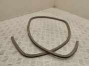 Dichtungsgummi am Ende (Gabel) RENAULT MEGANE III Hatchback (BZ0_) 1.6 dCi (BZ00, BZ12)