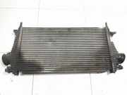 Ladeluftkühler Opel Insignia A Sports Tourer (G09) 13241751