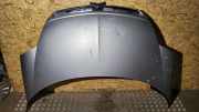 Motorhaube CITROËN C8 (EA_, EB_) 2.0 HDi 165
