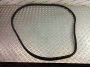 Türgummi links vorne BMW X3 (G01, F97) 7393423