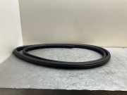 Türgummi links vorne BMW 5er (E60)