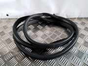 Türdichtung Nissan Juke (F15)