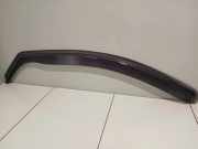 Windschott Hyundai Santa Fe II (CM)