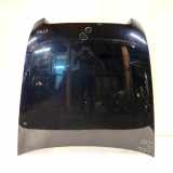 Motorhaube AUDI A6 Allroad (4FH, C6) 3.0 TDI quattro