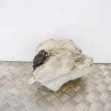 Fensterwaschtank TOYOTA PRIUS Hatchback (_W2_) 1.5 (NHW2_) 060851-145