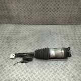 Stoßdämpfer rechts hinten Tesla Model S (5YJS) 106646600C