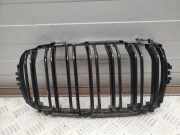 Vorderer oberer Gitter BMW X5 (F15, F85) xDrive 50 i