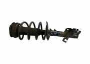 Stoßdämpfer vorne links NISSAN QASHQAI / QASHQAI +2 I (J10, JJ10) 2.0 dCi 4WD 54303BR24A