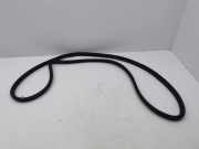 Türgummi links vorne Toyota Corolla Kombi (E12)