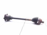 Nebelscheinwerfer links vorne Audi A6 Avant (4A, C4)