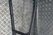 Türverkleidung links hinten Citroen DS4 (NX) 9687381677