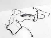 Türverkabelung hinten rechts BMW 5 (F10) 530 d 9219518