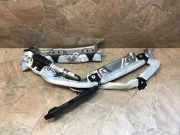 SRS Modul Dach links BMW X1 (E84) sDrive 20 d 84299117711