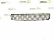 Gitter vorne unten TOYOTA YARIS (_P1_) 1.3 (NCP10_, SCP12_) 53112-0D050 531120D050