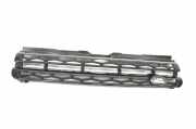 Kühlergrill oben Land Rover Range Rover Evoque I (L538) BJ328B189A