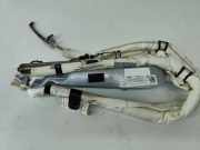 Airbag Dach links VW Tiguan I (5N) 5N0880741K