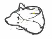 Kabelbaum Citroen DS4 (NX) 9673369380