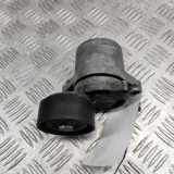 Umlenkrolle für Keilrippenriemen BMW 3er Touring (F31) 7619248