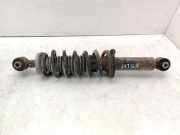 Stoßdämpfer links hinten Peugeot 407 Coupe ()