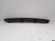 Ziergitter Mercedes-Benz Sprinter 3t Pritsche (906) A9068850053