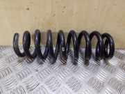 Federblatt links hinten BMW 3er Touring (E91)