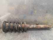 Stoßdämpfer vorne links LEXUS IS II (GSE2_, ALE2_, USE2_) 220d (ALE20) 48520-53081