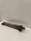 Ladeluftkühler FIAT FIORINO Furgon/Estate (225_) 1.3 D Multijet 51790623