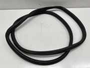 Türdichtung BMW X3 (F25)