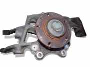 Radnabe hinten Citroen C5 III (RD)