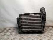 Ladeluftkühler VW Passat B5.5 Variant (3B6) 059145806