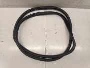 Türdichtung MG MG ZS ()