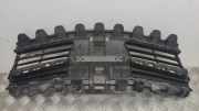 Vorderer oberer Gitter TOYOTA VERSO (_R2_) 1.6 D4-D (WAR20_) 531110F060