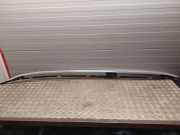 Dachgriff hinten links MERCEDES-BENZ GL (X166) GL 500 4-matic (166.873) A1666901880 A1668900993